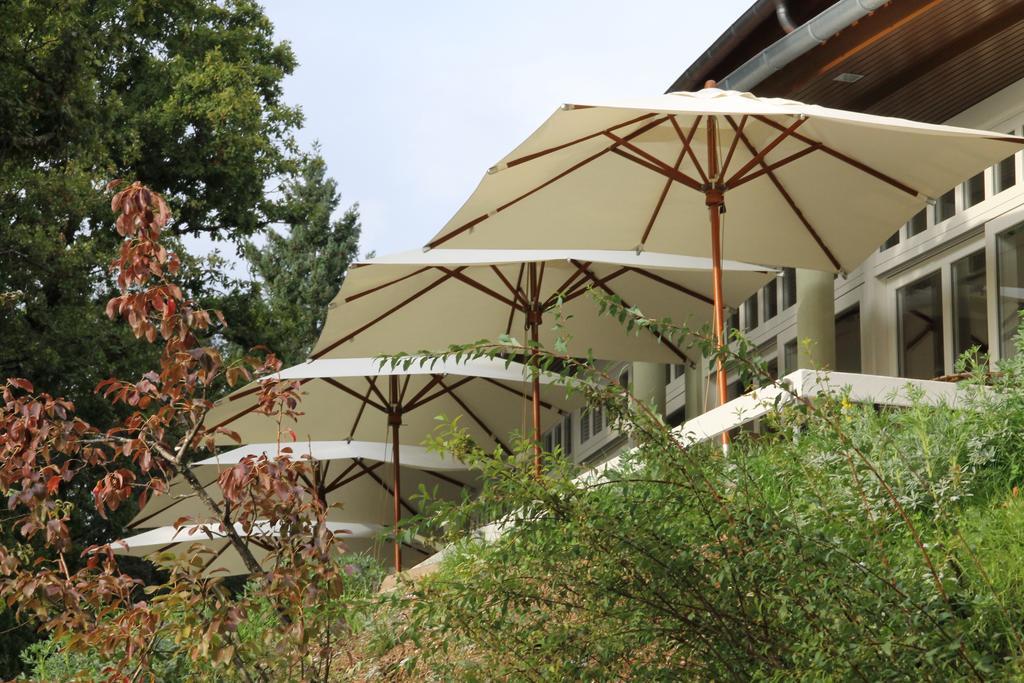 Hotel Rural Misarela 제어스 외부 사진